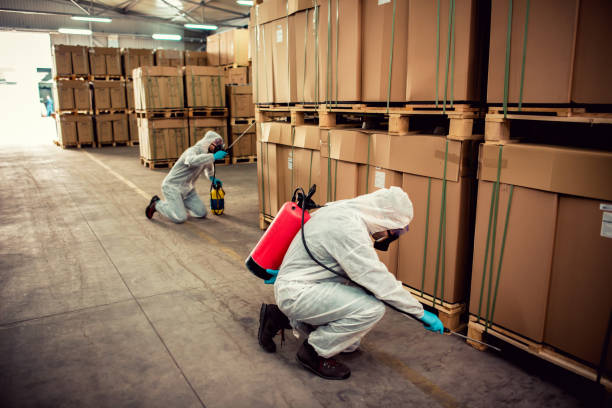 Pest Control Cost in Vashon, WA