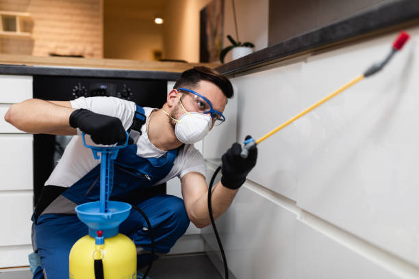Best Pest Control for Businesses  in Vashon, WA