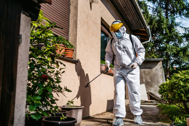 Best Bird Control  in Vashon, WA
