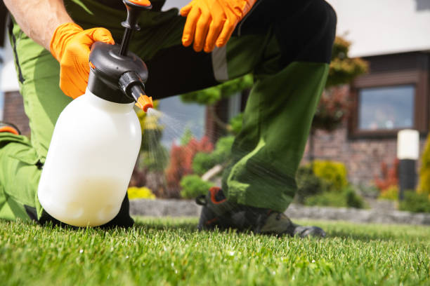 Best Mosquito Control Services  in Vashon, WA