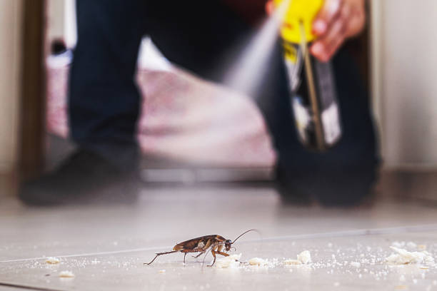 Professional Pest Control in Vashon, WA