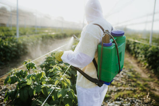 Best Ant Control Services  in Vashon, WA